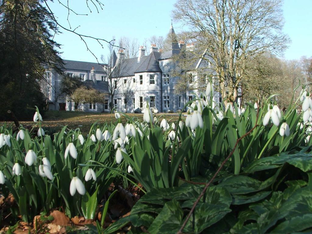 Hotel Mount Falcon Estate 4*